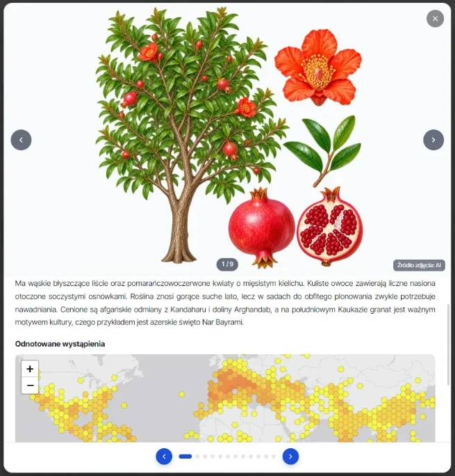 Plant card with an illustration and a map of recorded occurrences